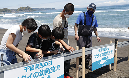 6月に「千葉県民感謝月間」で入館割引を実施